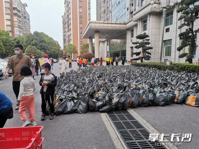 780份蔬菜包送到了湘林小區(qū)院內(nèi)。長沙晚報實習生 羅楊 攝
